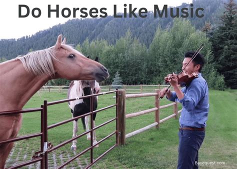 do horses like music while their ears twitch occasionally in response to certain sounds